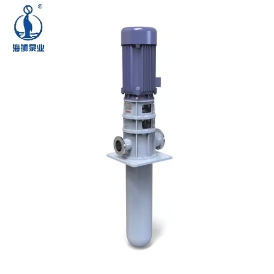 Single-Stage Circulating Haishi Molten Salt Pump For Sea Water Industry high quality Single-Stage Circulating Haishi Molten Salt Pump For Sea Water Industry high quality